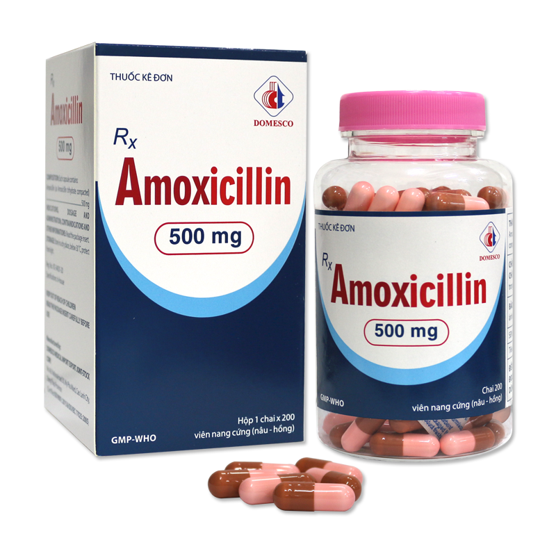 AMOXICILLIN 500MG (NÂU HỒNG)