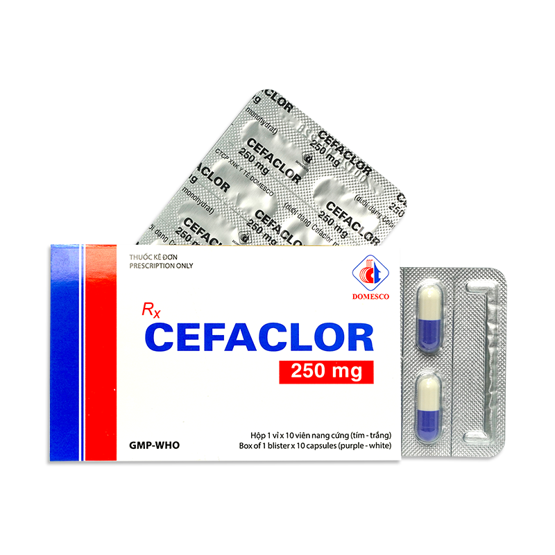 CEFACLOR 250MG (TÍM-TRẮNG)